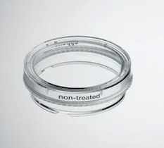 德國艾本德(Eppendorf)Cell Culture Dishes, 35 mm, 無菌、無熱原，無 RNase和DNase，無人類和細(xì)菌DNA。無細(xì)胞毒素, 未處理, 3.0mL, 300個(gè)