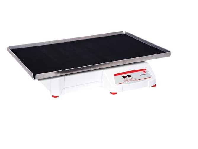 美國(guó)奧豪斯，OHAUS，脫色搖床，回旋振蕩器，圓周振蕩器，大負(fù)載圓周式搖床，SHHD6825DG