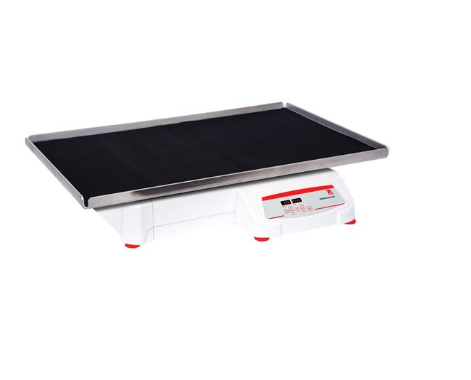 美國(guó)奧豪斯，OHAUS，脫色搖床，回旋振蕩器，圓周振蕩器，大負(fù)載圓周式搖床，SHHD6850DG